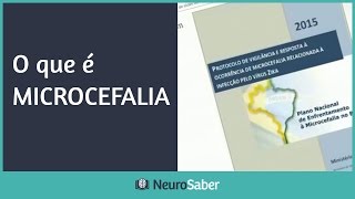 MICROCEFALIA Todas as suas dúvidas respondidas  NeuroSaber [upl. by Aeriela]