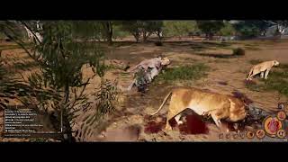 animalia survival PC game 1 hayena vs lions xD [upl. by Ynnej704]