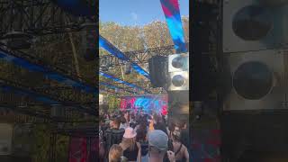 Nibirii Festival Hedex Live festival dnb 2024 viralvideo drumandbass dance trending fyp fy [upl. by Nylhtiak]