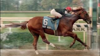 The Name Behind The Race The Easy Goer Stakes [upl. by Tomlin]