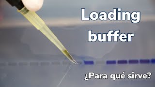 🧬🧬🧬¿Qué es un BUFFER de CARGA para ELECTROFORESIS de ADN y cuál es su función 🧬🧬🧬 [upl. by Elsinore]