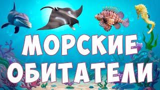 Морские животные для детей  Обитатели морей и океанов  развивающее видео для малышей [upl. by Cresida]