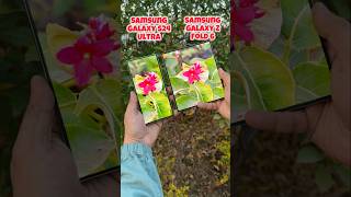 Samsung Galaxy S24 Ultra vs Samsung Galaxy Z Fold 6 Camera Test s24ultra zfold6 trending shotrs [upl. by Ferretti313]