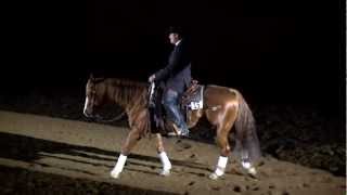 World Championship Freestyle Reining 2012 [upl. by Aleibarg]