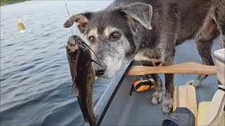 Fishing Whitson lake Ontario Canada [upl. by Enomis]