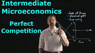 Intermediate Microeconomics Perfect Competition [upl. by Naniac241]