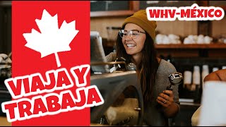 Canada Working Holiday Vlog加拿大打工度假！多倫多萬聖節遊行！來多倫多一個月會變胖還會變瘦？朋友看不慣我帶的便當直接下廚？！ [upl. by Aisila366]