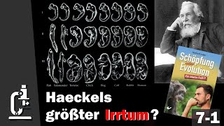 Embryonalentwicklung Haeckels größter Irrtum  Schöpfung oder Evolution 71 [upl. by Cire]