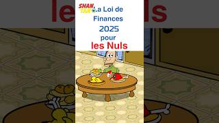 La Loi de Finances 2025 pour les Nuls satire politics maroc [upl. by Capon]