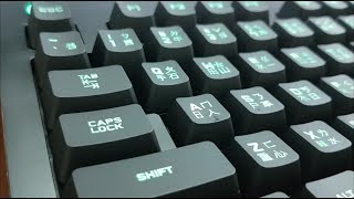 Logitech G213 Prodigy Gaming Keyboard Unboxing [upl. by Yebot]