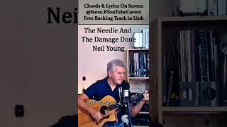 🎸 Needle And The Damage Done  Neil Young [upl. by Ladin]