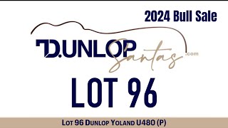 Lot 96 Dunlop Yoland U480 P [upl. by Dion]