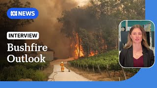 What is the bushfire outlook for this summer  ABC NEWS [upl. by Anaj]