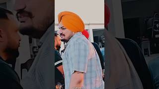 Sub Roye The Sidhu paji Keliye 🥹😭🙏 [upl. by Eirameinna]