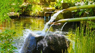 20 Minutes Meditation Music Pure Clean Energy Positive Vibration Meditation Music Water Sounds [upl. by Reinert]