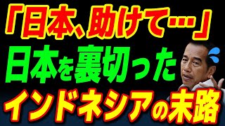 【海外の反応】日本を拒否！各国で破談相次ぐ！中国と手を組んだインドネシア高速鉄道の末路 [upl. by Ahtelahs125]