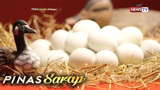 Pinas Sarap Ibat ibang dishes na pinasarap ng balut [upl. by Atiek748]