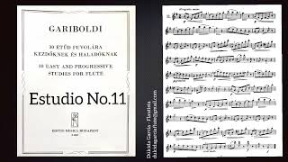 Gariboldi No11 30 Easy and progressive studies for flute [upl. by Noyart]