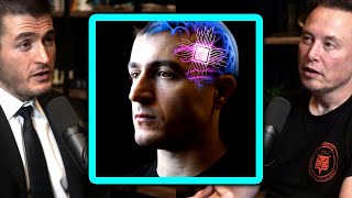 When will Lex Fridman get Neuralink implant [upl. by Florian]