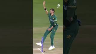 Matthew Wades innings of a lifetime against Pakistan in 2021 😲 CricketShorts YTShorts [upl. by Eibbed]