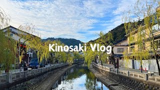 【Vlog】城崎温泉旅行｜A Trip to Kinosaki Onsen [upl. by Nyrac67]