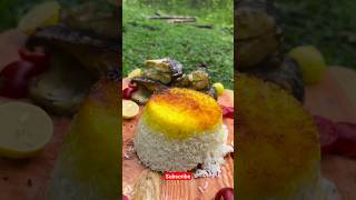 Cooking delicious camping meals [upl. by Yorgos]