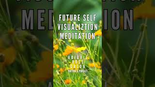 Guided Meditation to Visualize Your Future Self amp Manifest Clarity [upl. by Runstadler998]