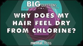 Why does my hair feel dry from chlorine  Big Questions  Ep 205 [upl. by Tteraj]