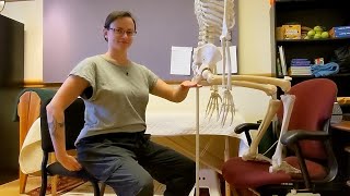 Sitting at a desk part 1 anatomy mechanics and seat tilt [upl. by Annaer525]