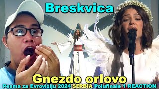 Breskvica  Gnezdo orlovo  Pesma za Evroviziju 2024 Polufinale 1 REACTION [upl. by Gun]