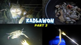 Kadlawon Part 3Moalboal Cebu [upl. by Reiners59]