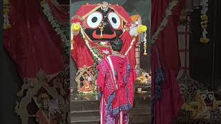 Puri ja jagannatha Puri Maharaj ki Jay [upl. by Lhary419]