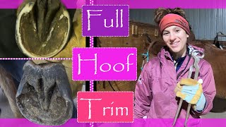 Full horse hoof trim  Barefoot hoof trim  How to trim horse hooves  hoof trimming  DIY farrier [upl. by Nageem]