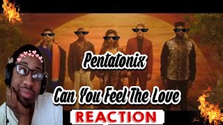 I ALMOST BURSTED  Pentatonix  Can You Feel the Love Tonight Reaction  SOOO DANG GOOD [upl. by Nagol]