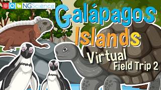 Galápagos Islands – Virtual Field Trip 2 [upl. by Harrad]