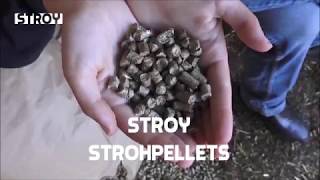 ELI Therapie testet STROY Strohpellets Pferdeeinstreu [upl. by Johnath]