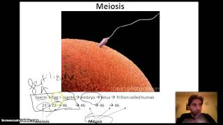 4 Chapter 1 Doc 3  Lebanese Bac  LS Biology [upl. by Eerehc188]