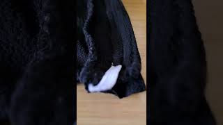 Making a quot Magical quot Witchs skirt for HALLOWEEN 🎃 [upl. by Niliram]