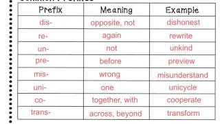 Roots and Affixes [upl. by Justus]