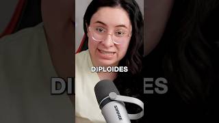 CÉLULAS DIPLOIDES vs HAPLOIDES ubaxxi uba biologia [upl. by Sancha122]