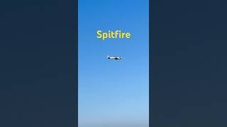 Spitfire 스핏파이어 [upl. by Avis]