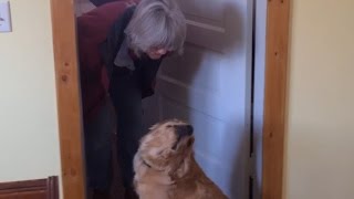 Dog Refuses to Kiss Her Owner [upl. by Campbell]