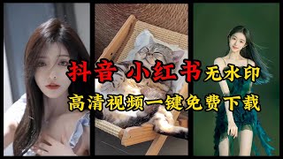 【硬核实用】最简单最火爆！抖音、小红书高清无水印视频，免费下载教程 [upl. by Arahahs]