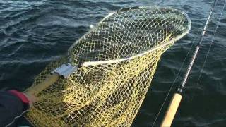 Dalsland Fishing  Salmonfishing in autumn on lake Vänern Sweden [upl. by Endys]