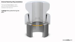 Retaining Ring Automated Installation  Internal  Housing [upl. by Vicki]