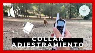 ✅ Experiencia con COLLAR de ADIESTRAMIENTO de perros sonido vibración y eléctrico🐕 [upl. by Ecinaj]