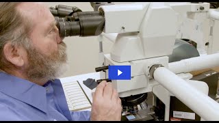 Inside the Lab Exploring The Prolaris® Biopsy Test [upl. by Lashar]