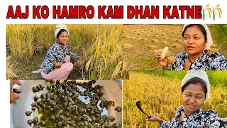 AAJ KO HAMRO KAM DHAN KATNE🌾🌾 krisammomvlog goviralvideo youtubevlog ​⁠ dhankrisammomvlog [upl. by Ralyt529]