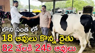 లొని సంత లో ఆవులు కొన్న రైతు 82 వేలకి 24లీ ఆవులు  Loni Cow Market Maharashtra [upl. by Yenobe]