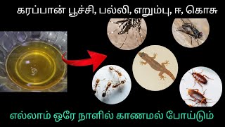 இனி வீட்டில் கரப்பான் பூச்சி பல்லி ஈ எறும்பு தொல்லை இல்லை  kitchen tips in tamil tamil [upl. by Croner]